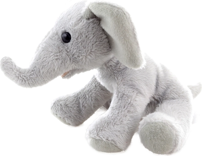 Kompakt, 15 cm-es méret