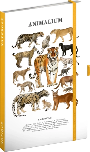Notique Notes Animalium – macskafélék (vonalas notesz) 13 × 21 cm