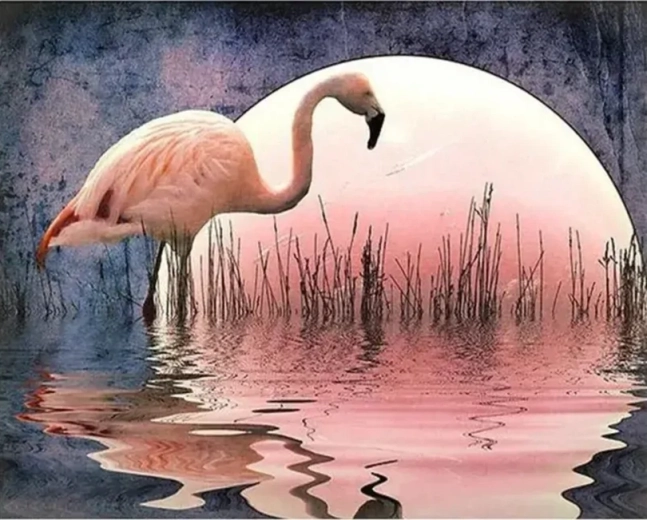 Norimpex Számfestő készlet flamingó 40 × 50 cm