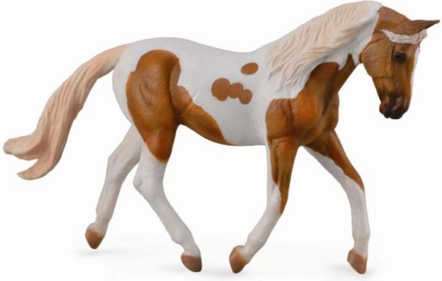 Collecta palomino csikó