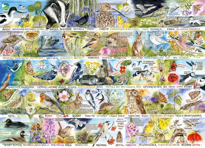 GIBSONS RSPB a tavaszi természet varázsa puzzle, 1000 darab