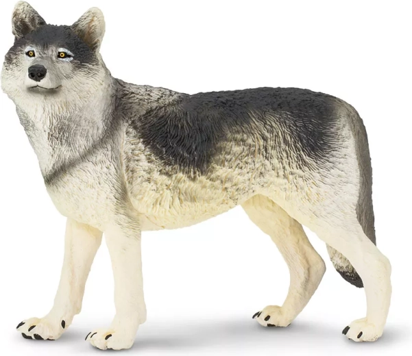 Safari Ltd. szürke farkas figura – 1 darab