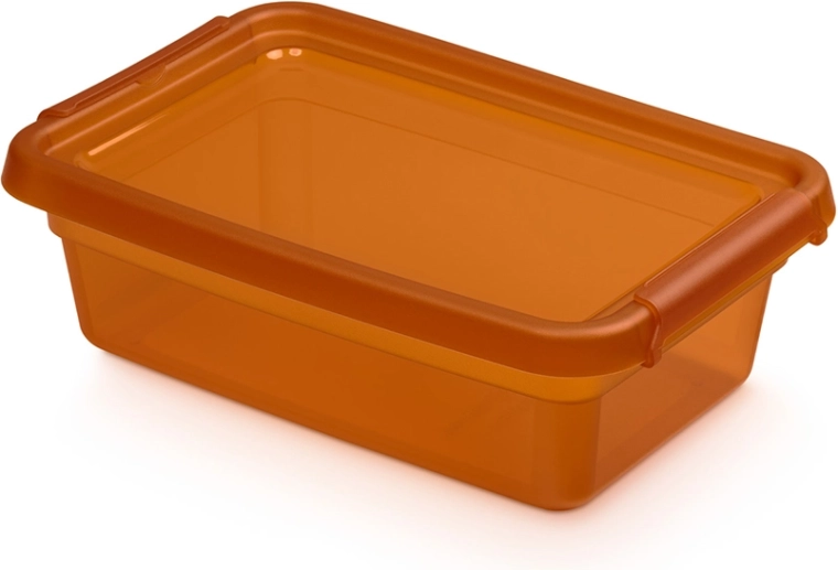 Basestore tárolódoboz fedéllel és csatokkal, borostyán (amber) 3 l (19 × 28 × 9 cm)