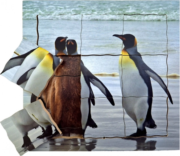 Just Jigsaws Fa réteges puzzle Pingvin és életciklusa 19 darab