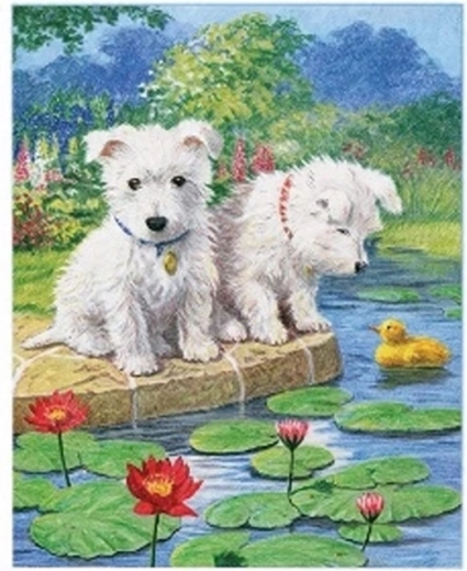 Norimpex számfestő készlet máltai kutyák a tónál 40 × 50 cm