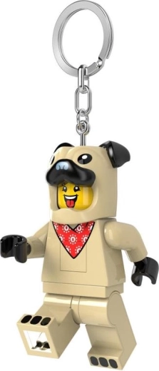 Masszív fém karika és lánc