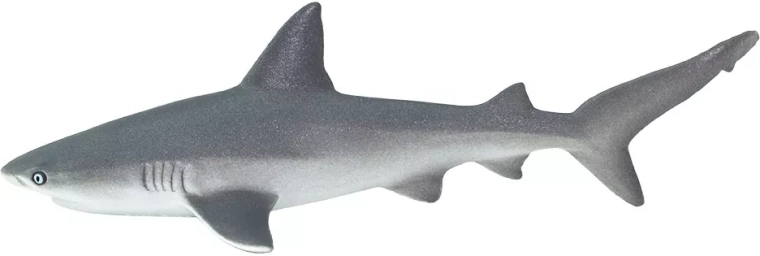 Safari Ltd. spanyol cápa (zátonyi) - 1 db