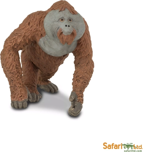 Safari Ltd. orangután – hím