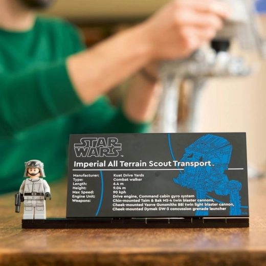 Gyűjtői display névtáblával és minifigurával