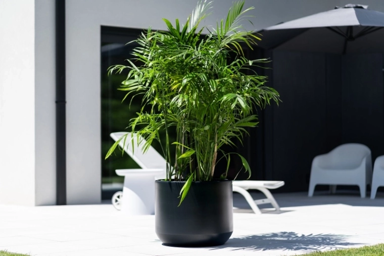 Időtálló anyag kültérre és beltérre