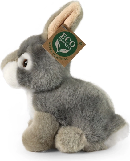 Eco-Friendly töltet