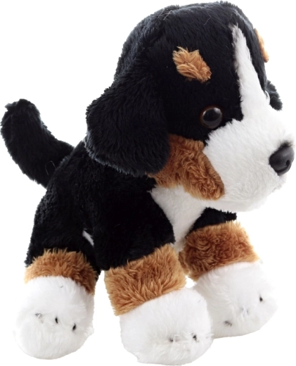 Könnyű és kompakt társ