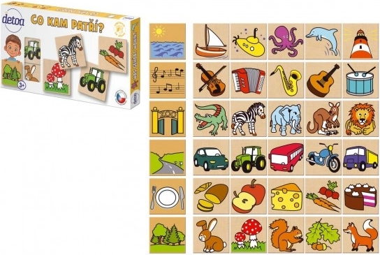 Detoa fa puzzle Mi hova tartozik