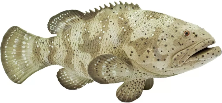 Safari Ltd. kanic itajara figura - 1 db