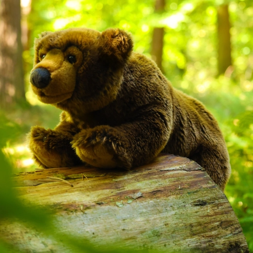 ECO-FRIENDLY töltet