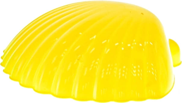 Élethű lenyomatok kagyló formával