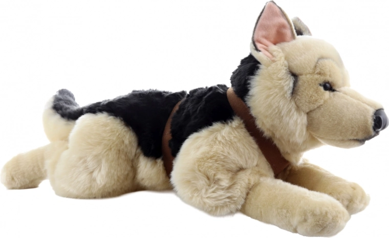 Praktikus fekvő pozíció hámmal