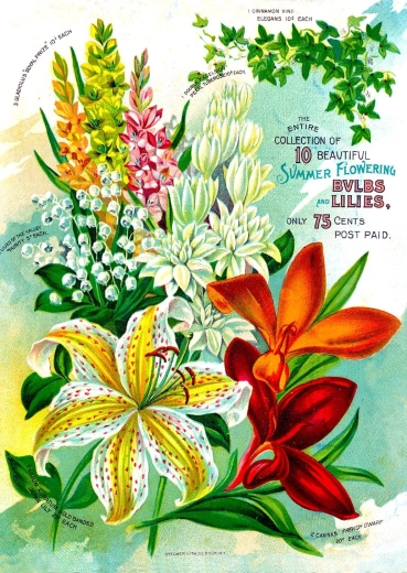 Enjoy puzzle Vintage virágkatalógus 1000 darabos