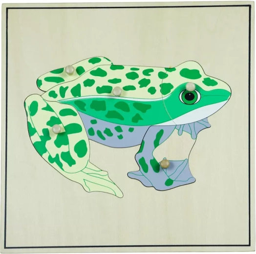 Puzzle csontvázzal – béka