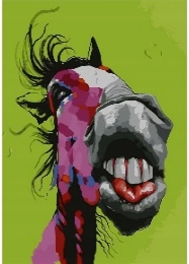 Norimpex Számfestő Crazy Horse 40 × 50 cm