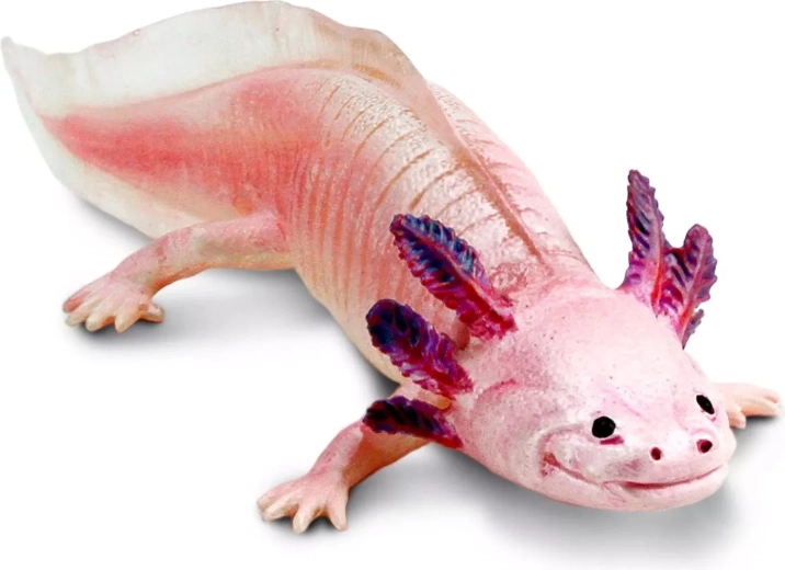 Safari Ltd. axolotl figura