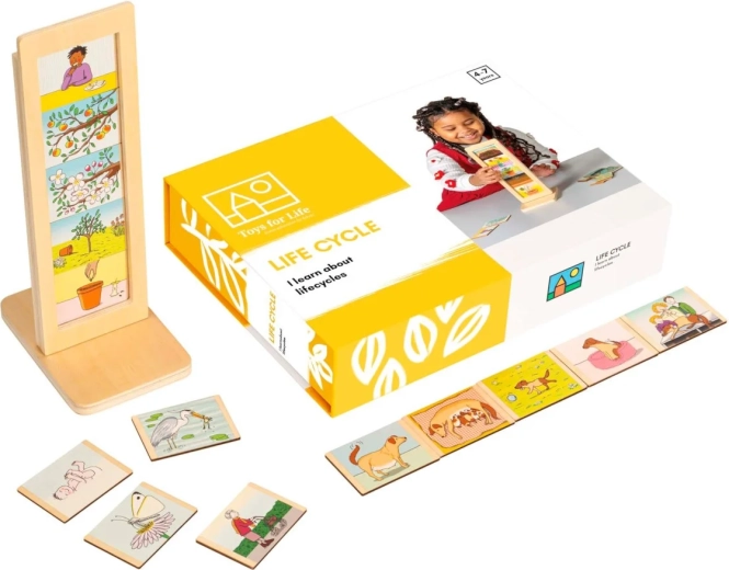 Toys for Life életciklusok – oktató készlet kártyákkal