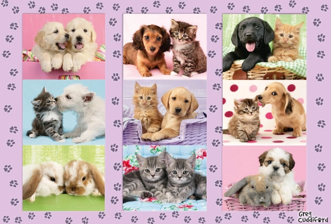 Schmidt puzzle Moji állatbarátaim 100 darab