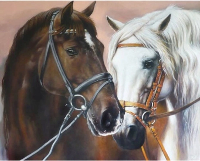 Norimpex Számfestő ölelkező lovak 40 × 50 cm