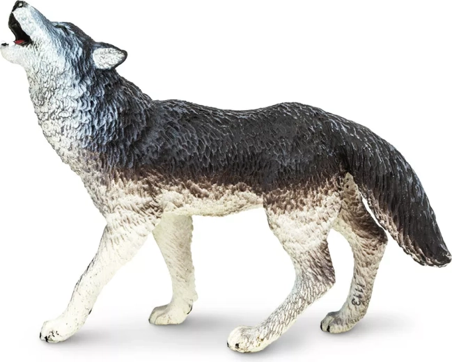 Szürke farkas Safari Ltd.