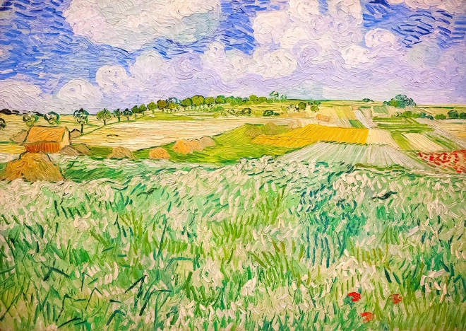 Puzzle Vincent van Gogh: Tájkép Auvers-ban 1000 darab