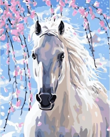 Számozott festés kereten feszített vásznon 40 × 50 cm – fehér paripa