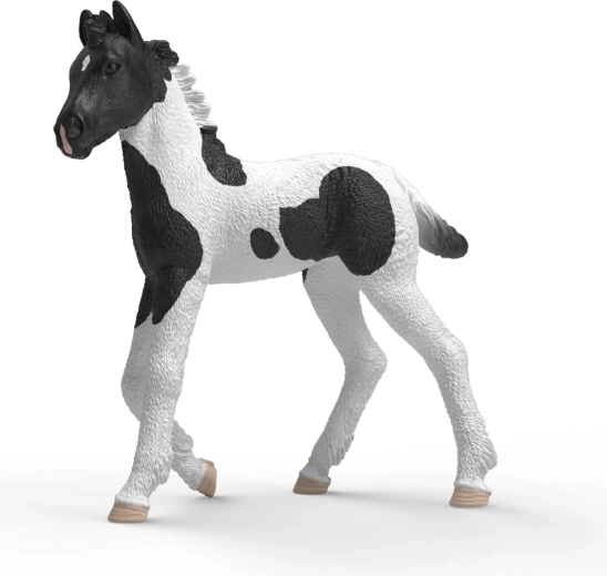 Schleich Horse Club gyűjtő csikó Rocky - 1 db