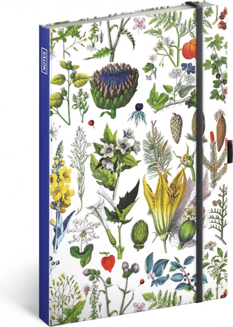 Katalin Winterová Gyógynövények jegyzetfüzet, vonalas, 13 × 21 cm