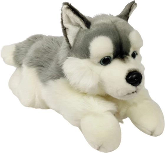 Plüss husky 61 cm