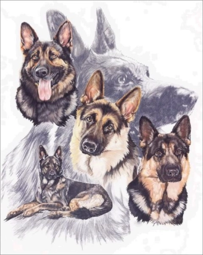 Gyémántfestés (diamond painting) – német juhászkutyák 30 × 40 cm – 1 db