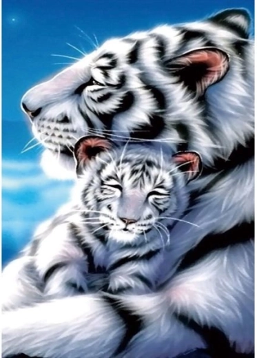 Gyémántmozaik (diamond painting) fehér tigrisek 30 × 40 cm - 1 db