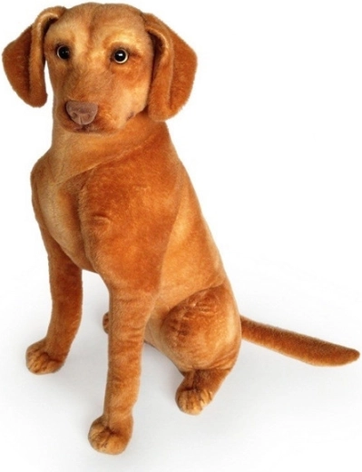 Plüss kutya – német vizsla 44 cm