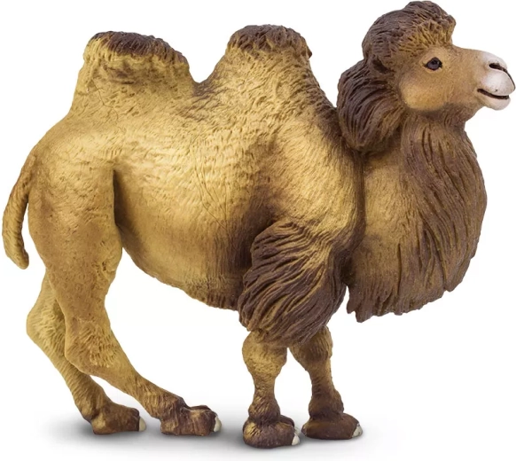 Safari Ltd. kétpúpú teve figura
