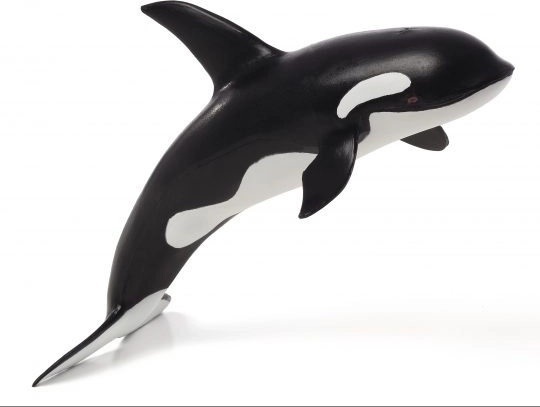 Mojo Deluxe Gyilkos bálna