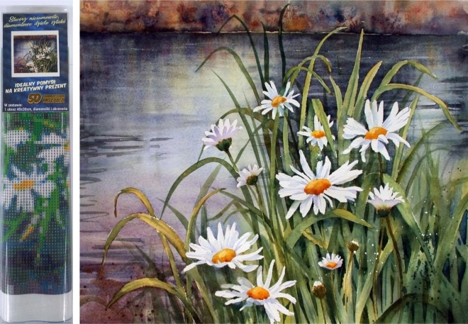 Gyémántfestés margariták a vízparton 30 × 40 cm