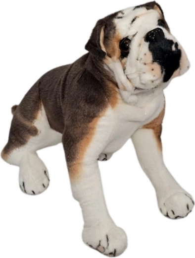 Plüss bulldog kutya – 1 db