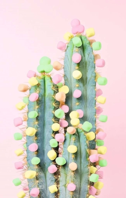 RAVENSBURGER Puzzle Moment: Kaktusz 200 darab