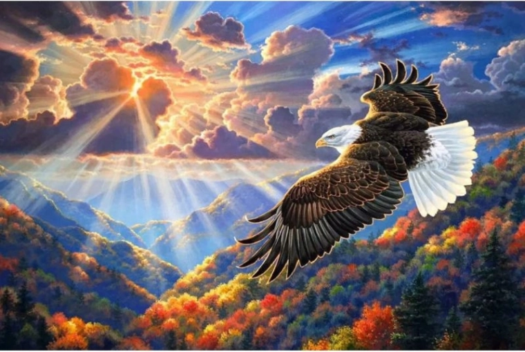 Gyémánt mozaikakép (diamond painting) sas az égen 40 × 30 cm