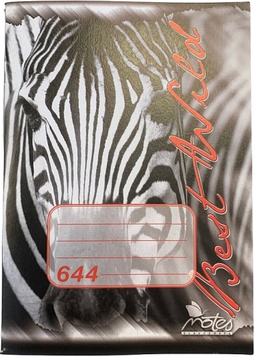 Iskolai füzet A6, 40 lap, vonalas, famentes papír