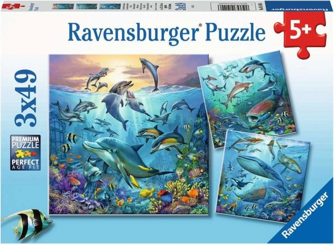 RAVENSBURGER Puzzle Óceáni állatok 3x49 darab