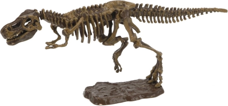 3D tyrannosaurus régészeti készlet