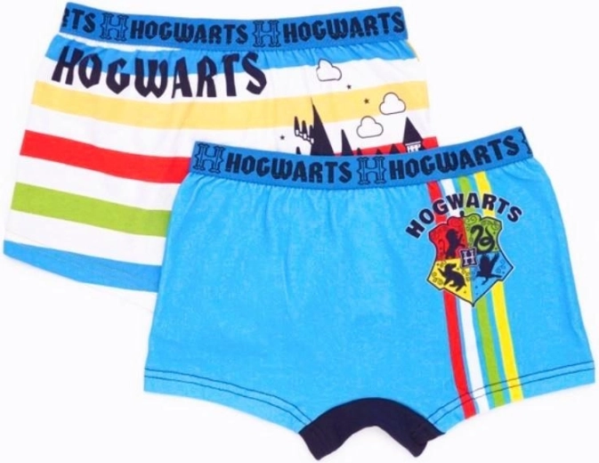 Harry Potter férfi boxeralsó duopack