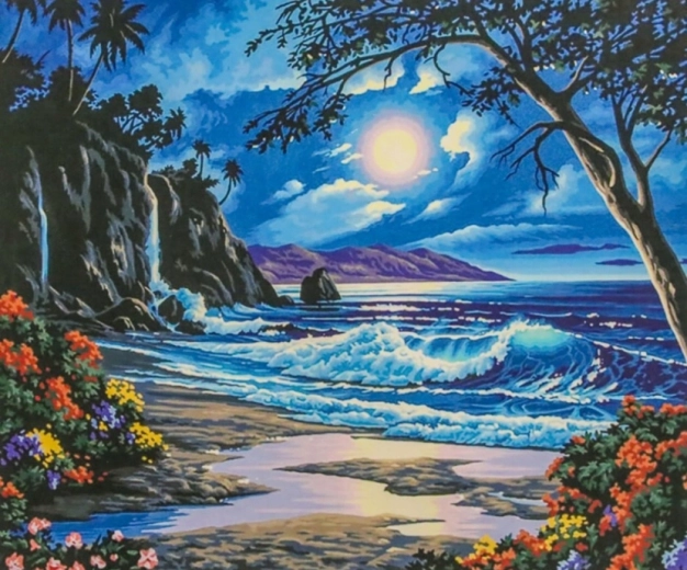 Norimpex Számfestő készlet Éjszakai paradicsom 40 × 50 cm