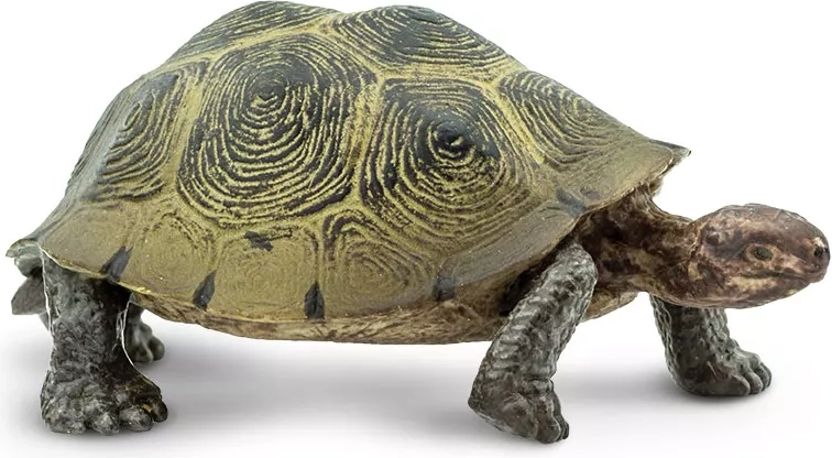 Safari Ltd. sivatagi teknős figura