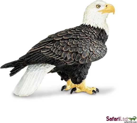 Safari Ltd. fehérfejű rétisas